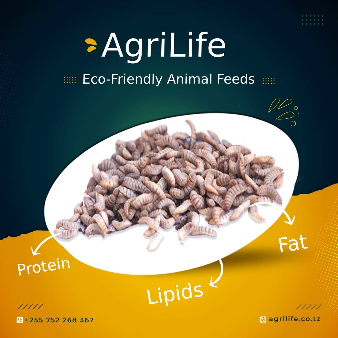 AgriLife Limited