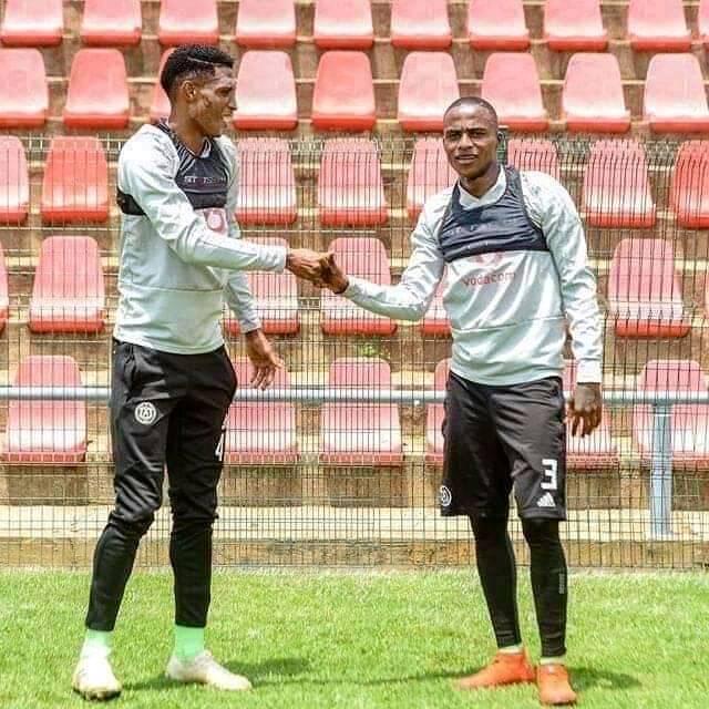 Modise sewedi