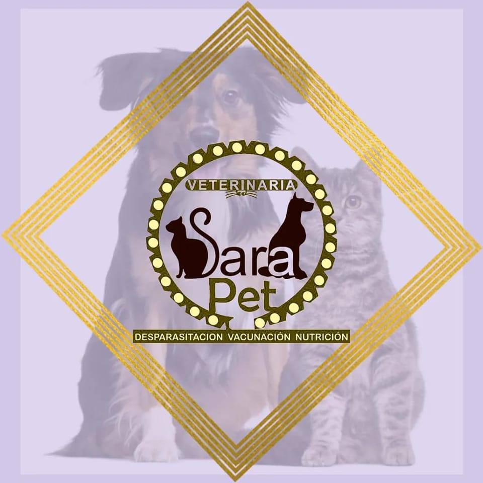 Sara's PET | San Salvador
