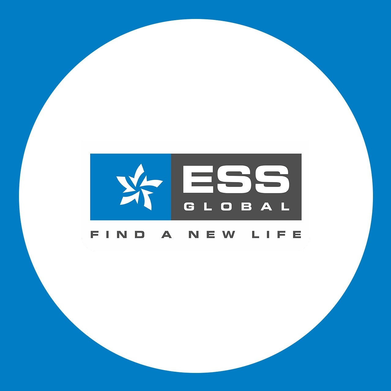 Ess Global - Haryana | Ambala