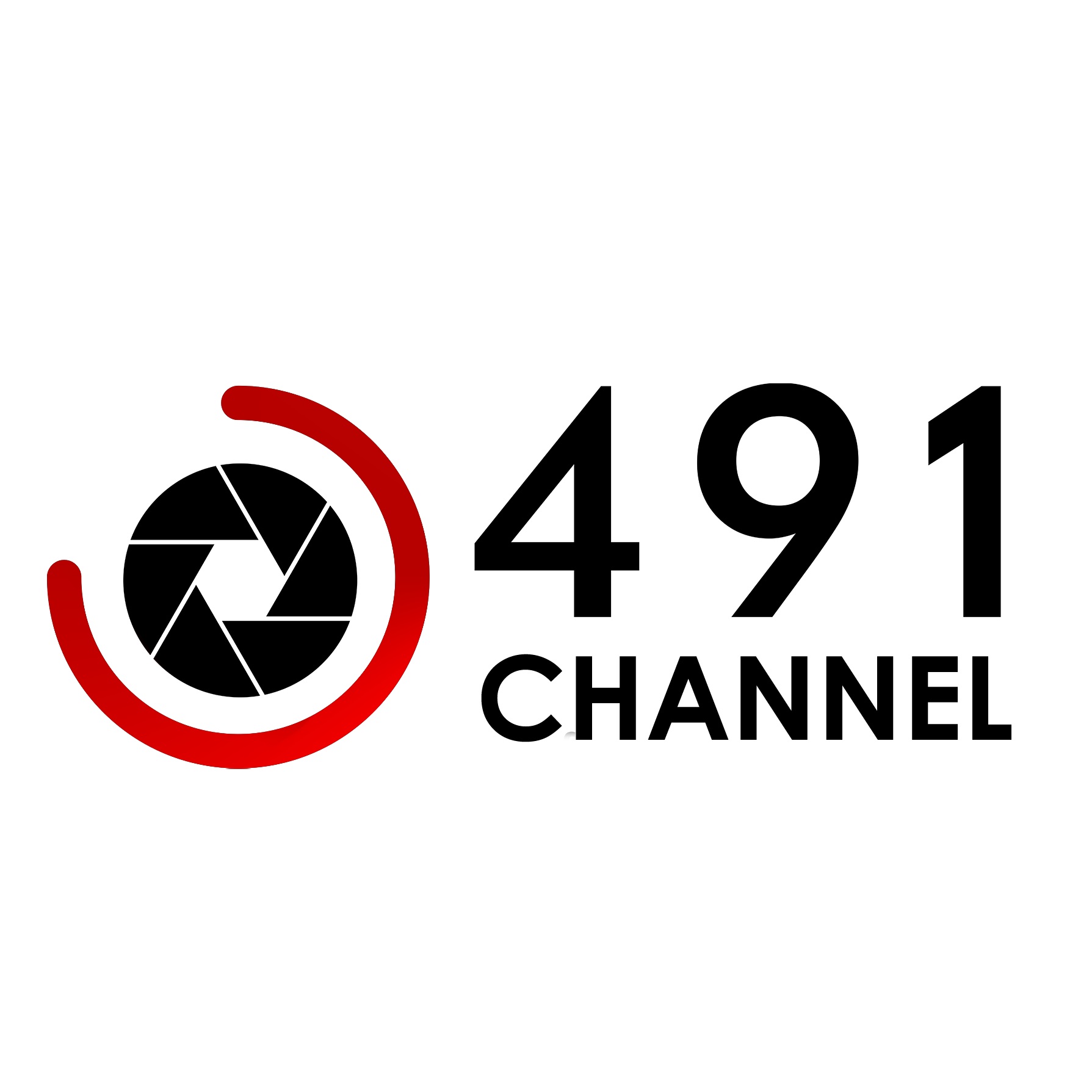 491 channel