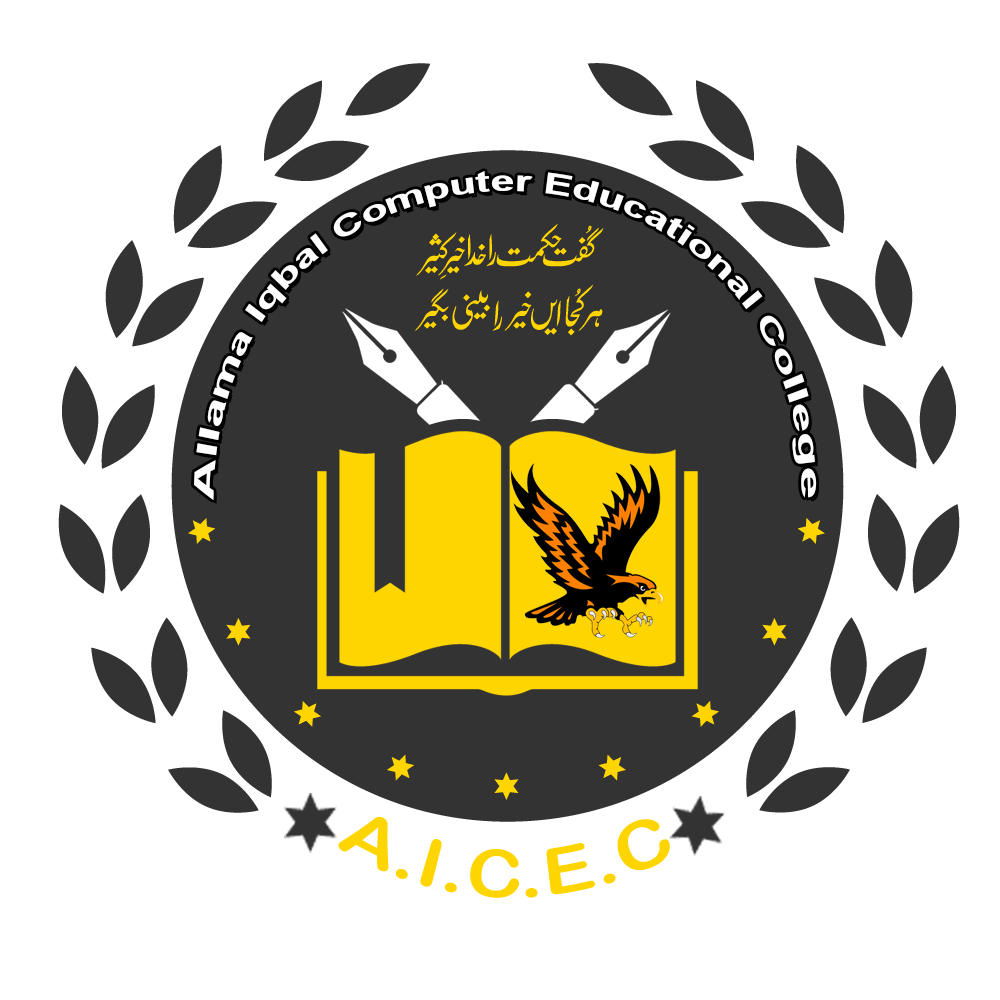 Allama Iqbal Computer Educational College | Faisalabad