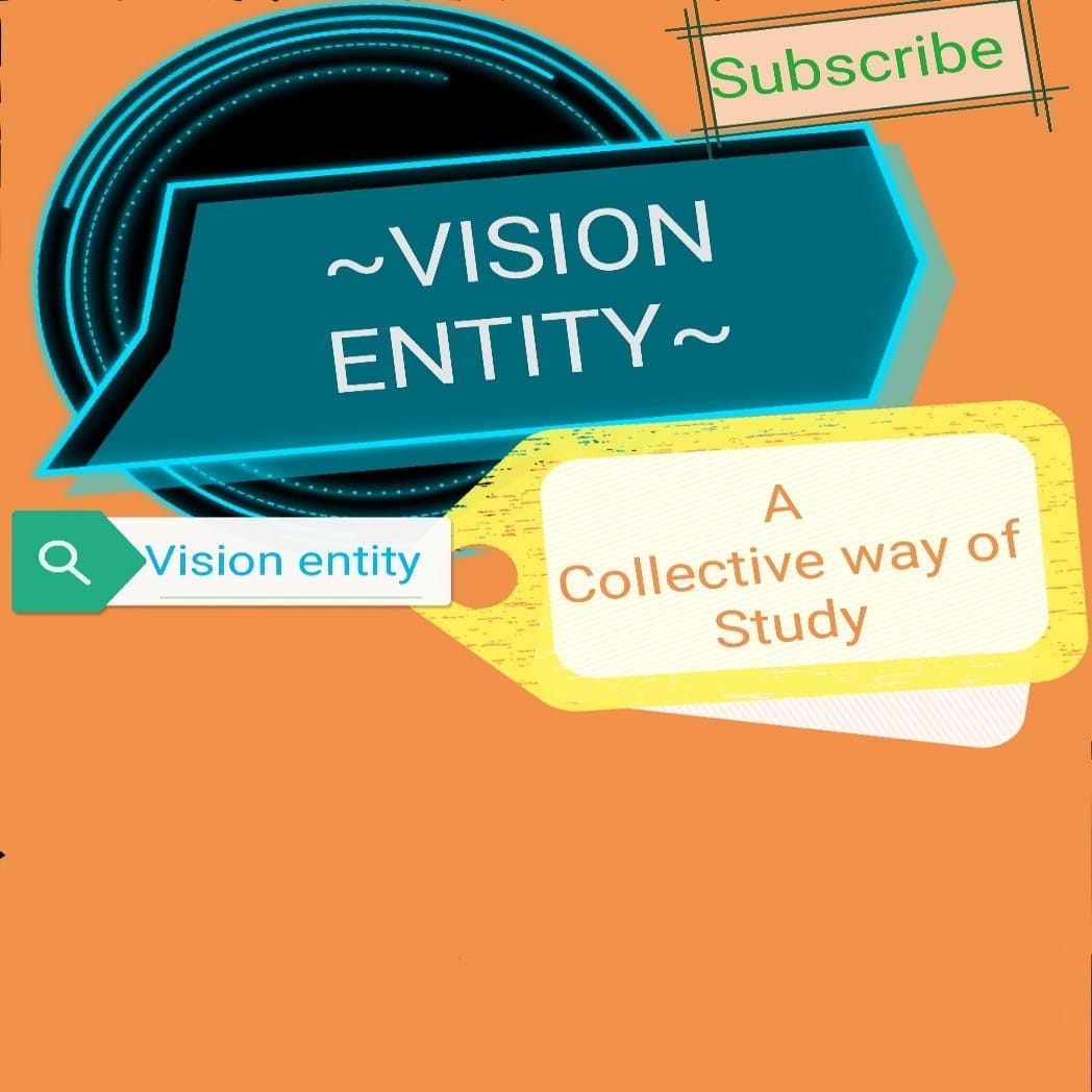 Vision Entity