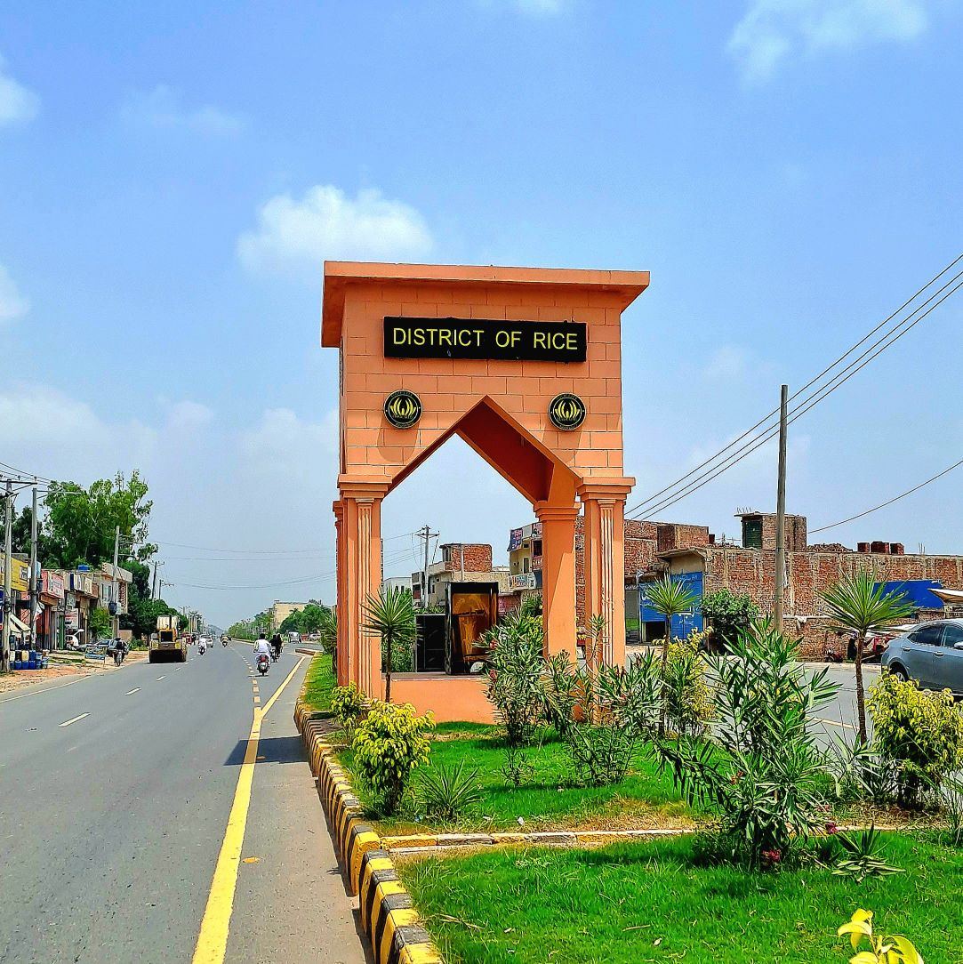 Rasib Ali