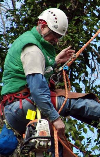 Clean Cut Tree Services
