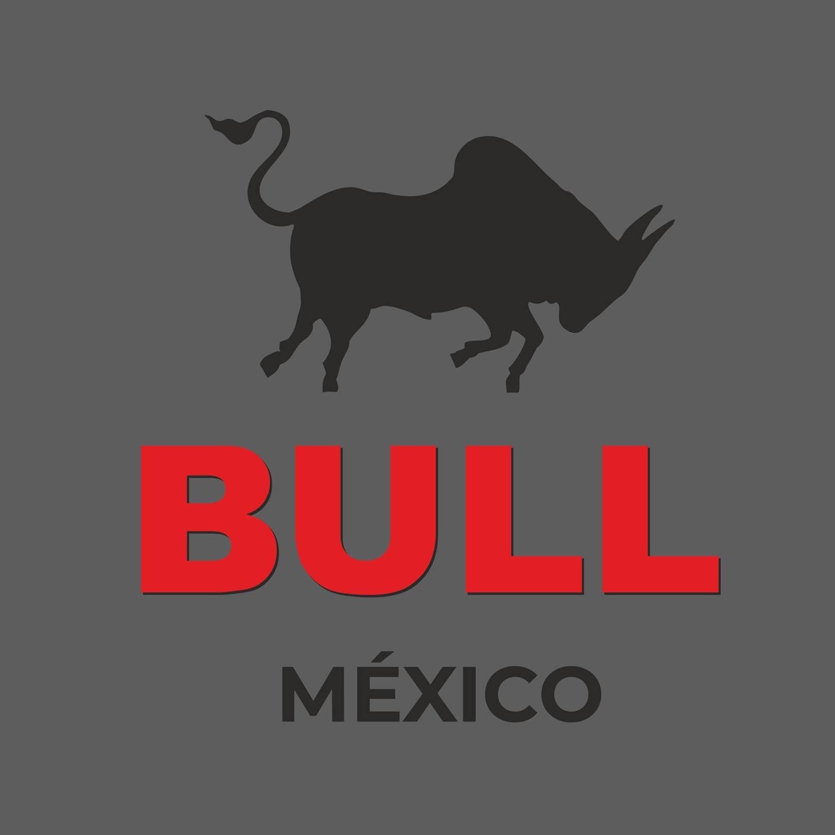 Bull México Retroexcavadoras