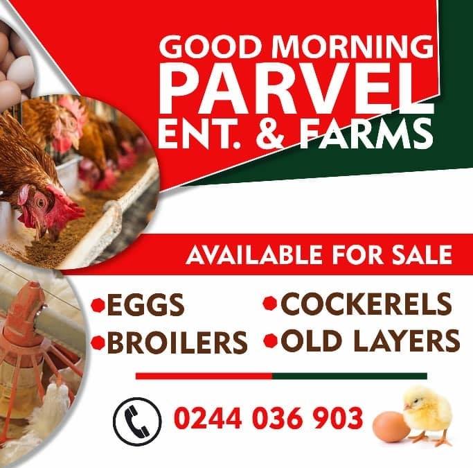 Good morning Parvel Enterprise