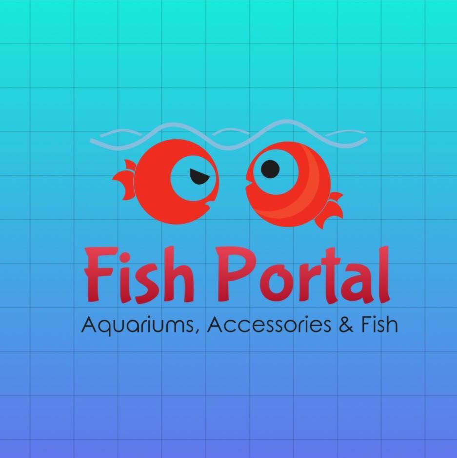 Yob Fish Portal | Angeles City