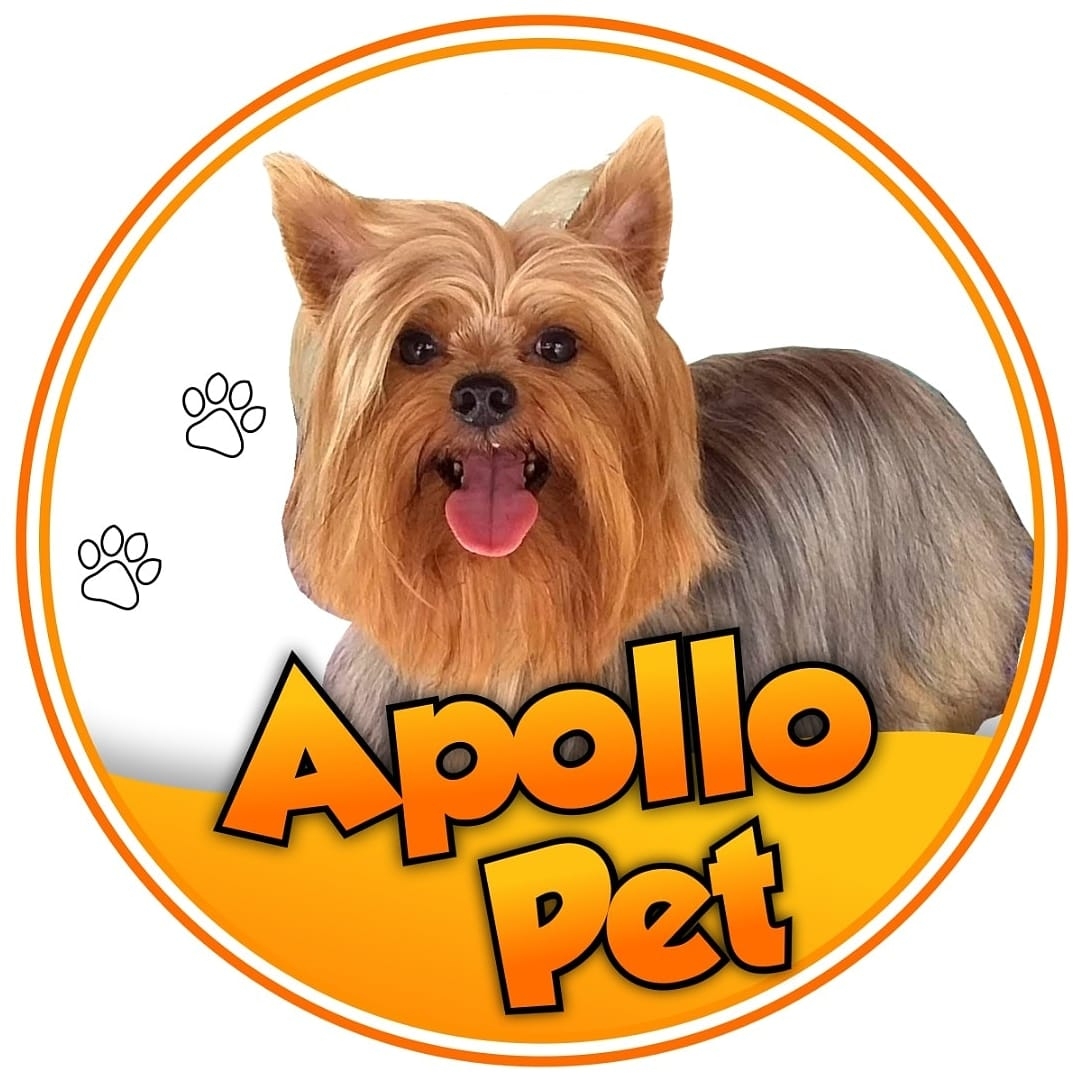 Apollo Pet