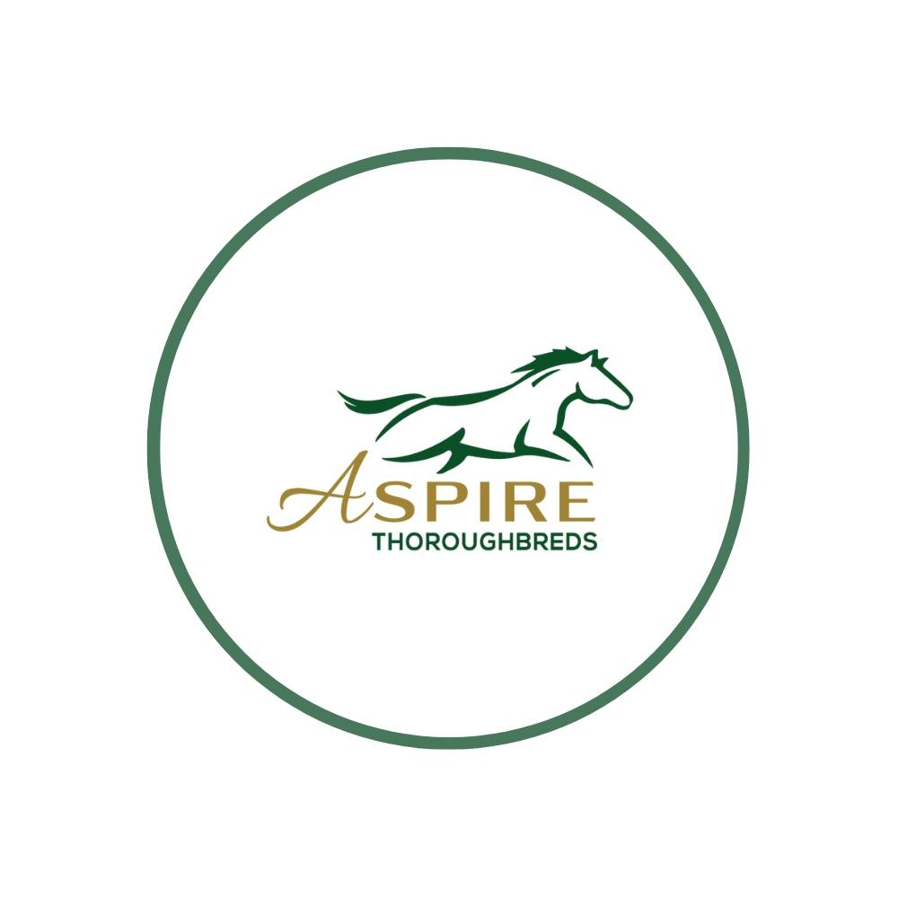 Aspire Thoroughbreds | Sandy Hollow NSW