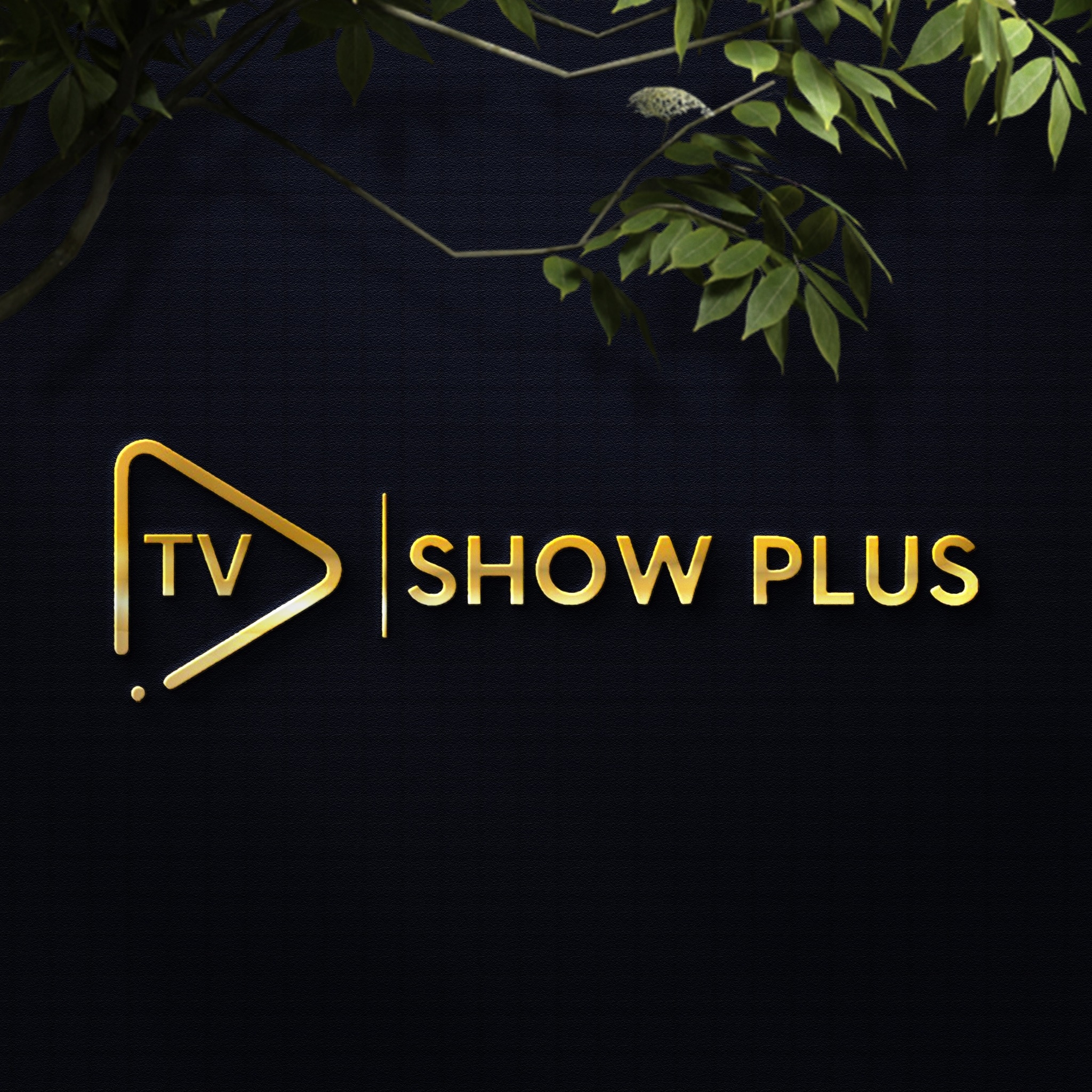 Show Plus TV