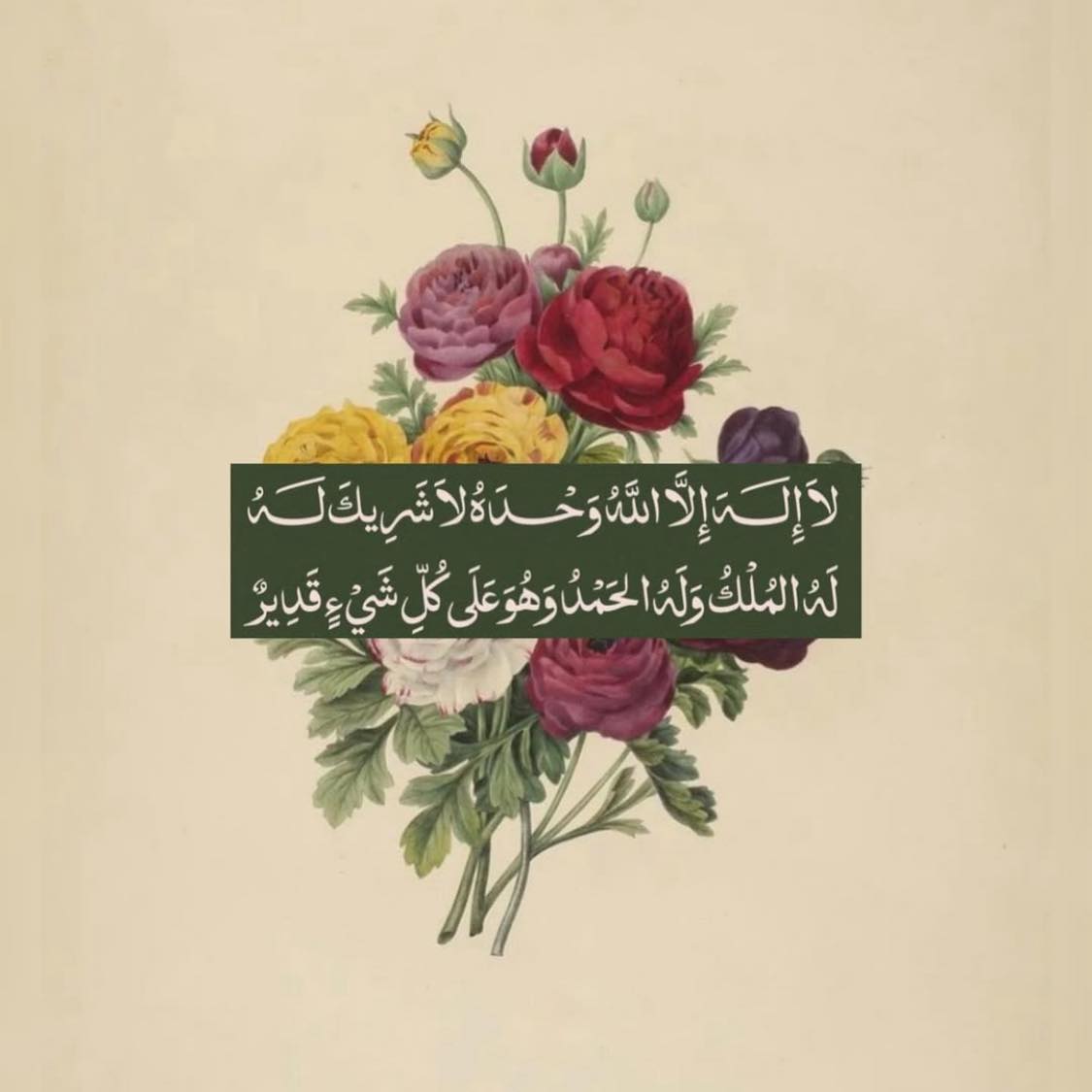 Labeeba Naseem