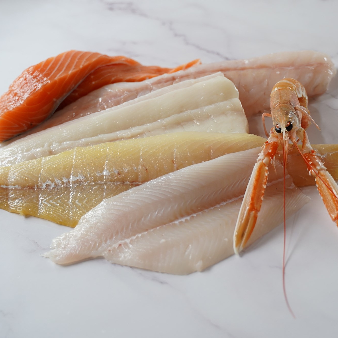 The Fish Porter