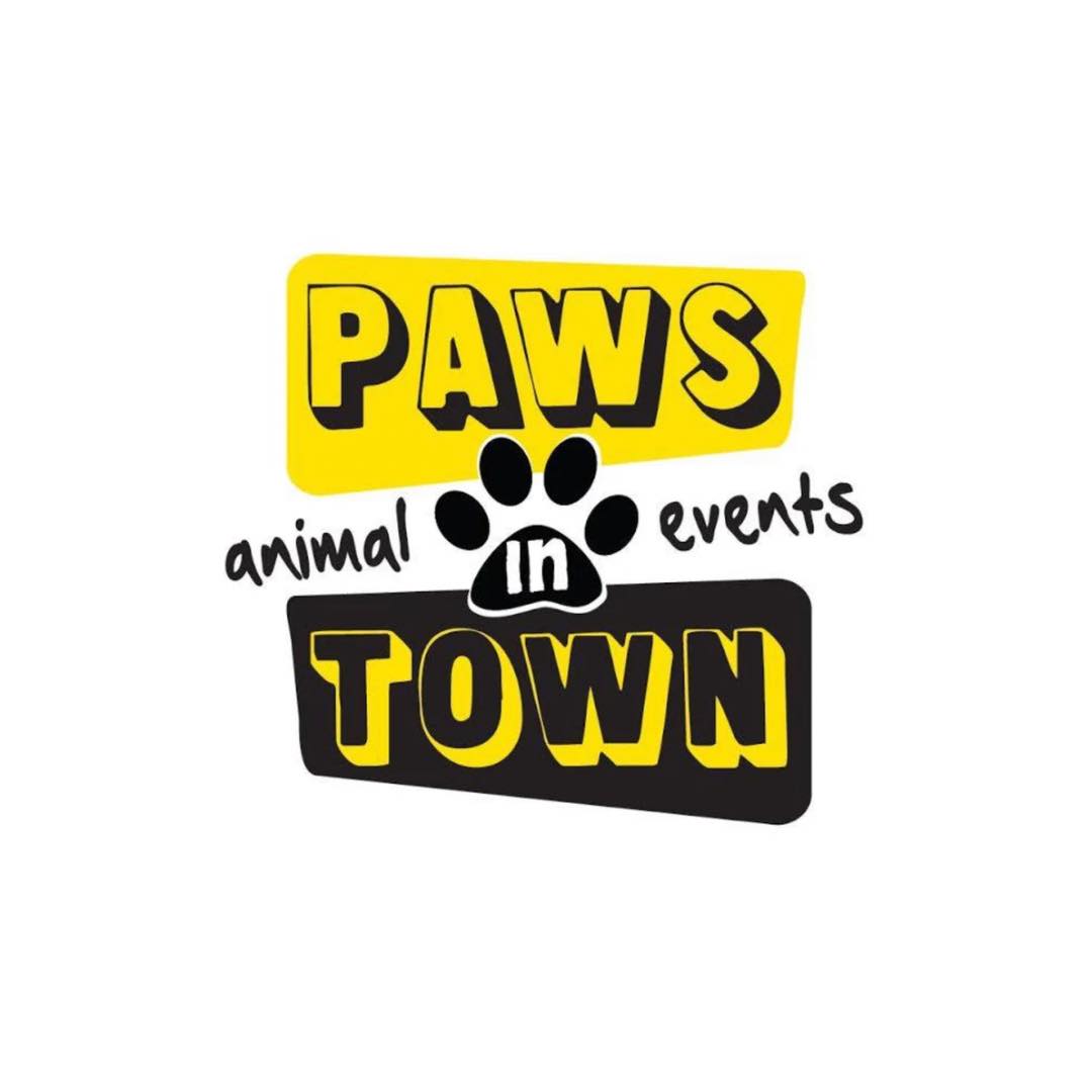 PAWS IN TOWN | Miami FL