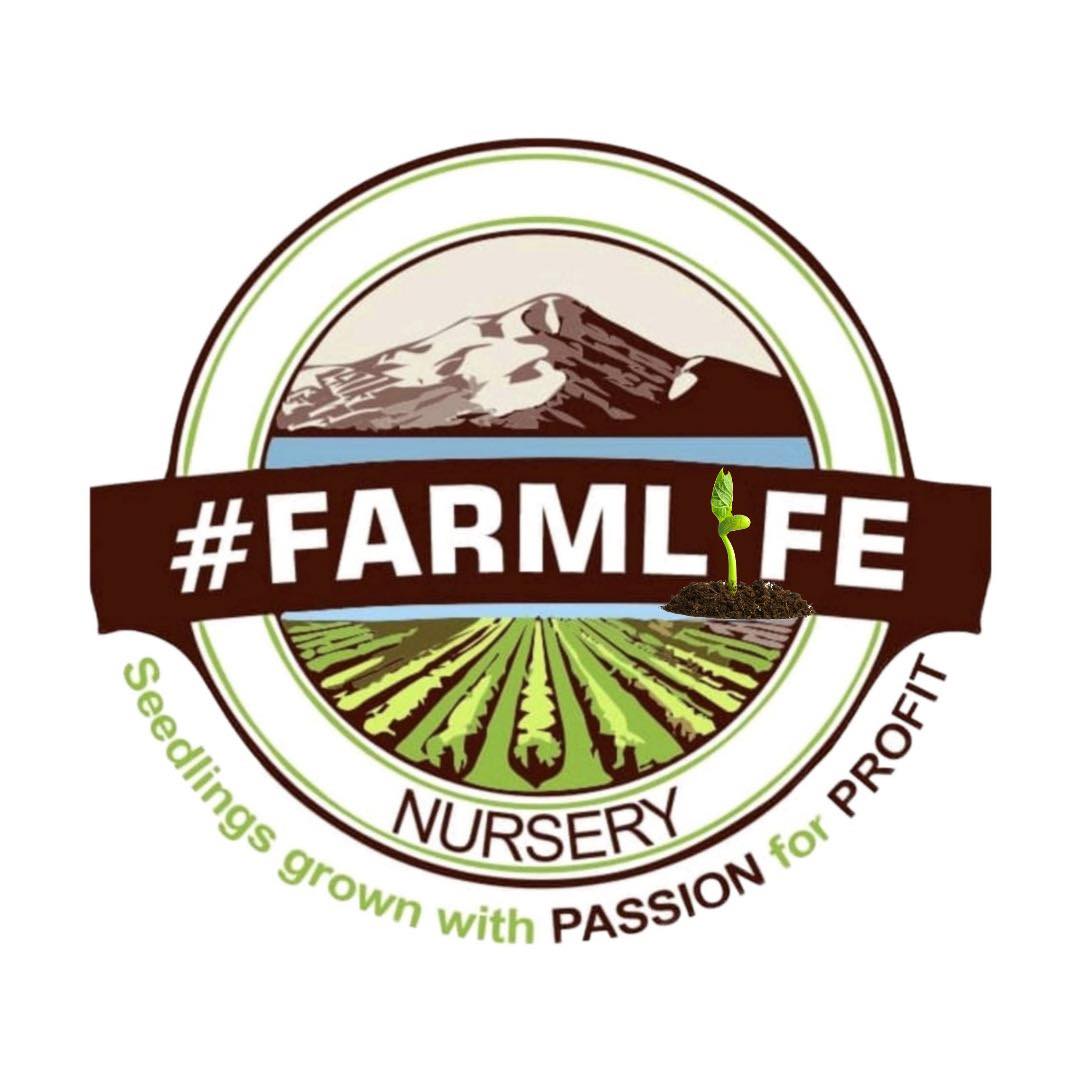 Farmlife nursery | Mazowe