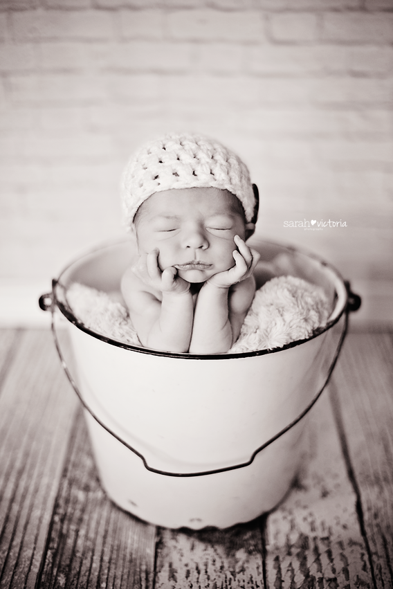 Sarah Victoria Photography