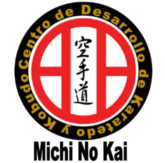 Michi No Kai Shito Ryu | Puebla