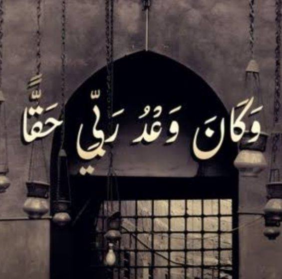 نبة ذفذر