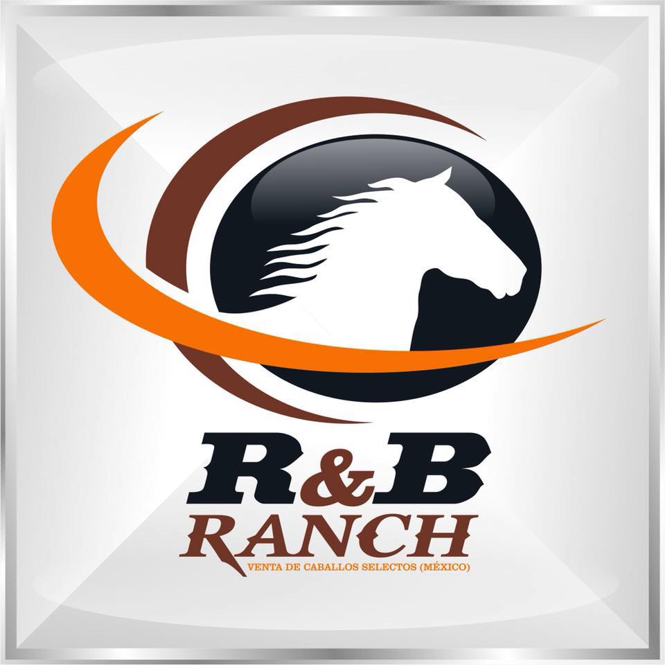 R&B Ranch Venta de Caballos Selectos.