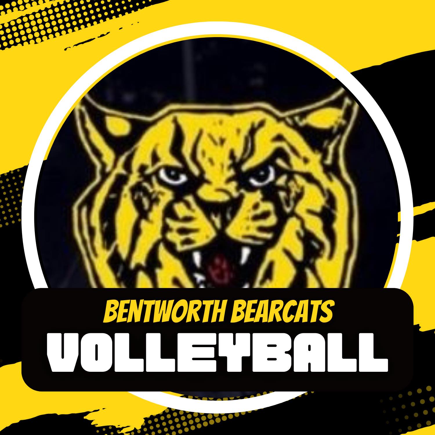 Bentworth Bearcat Volleyball