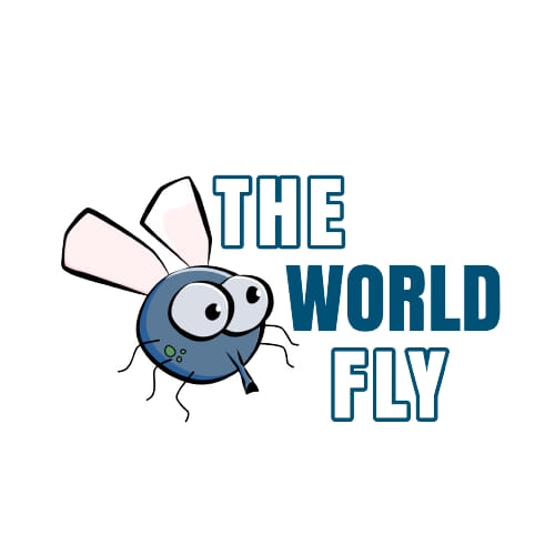 The WORLD FLY