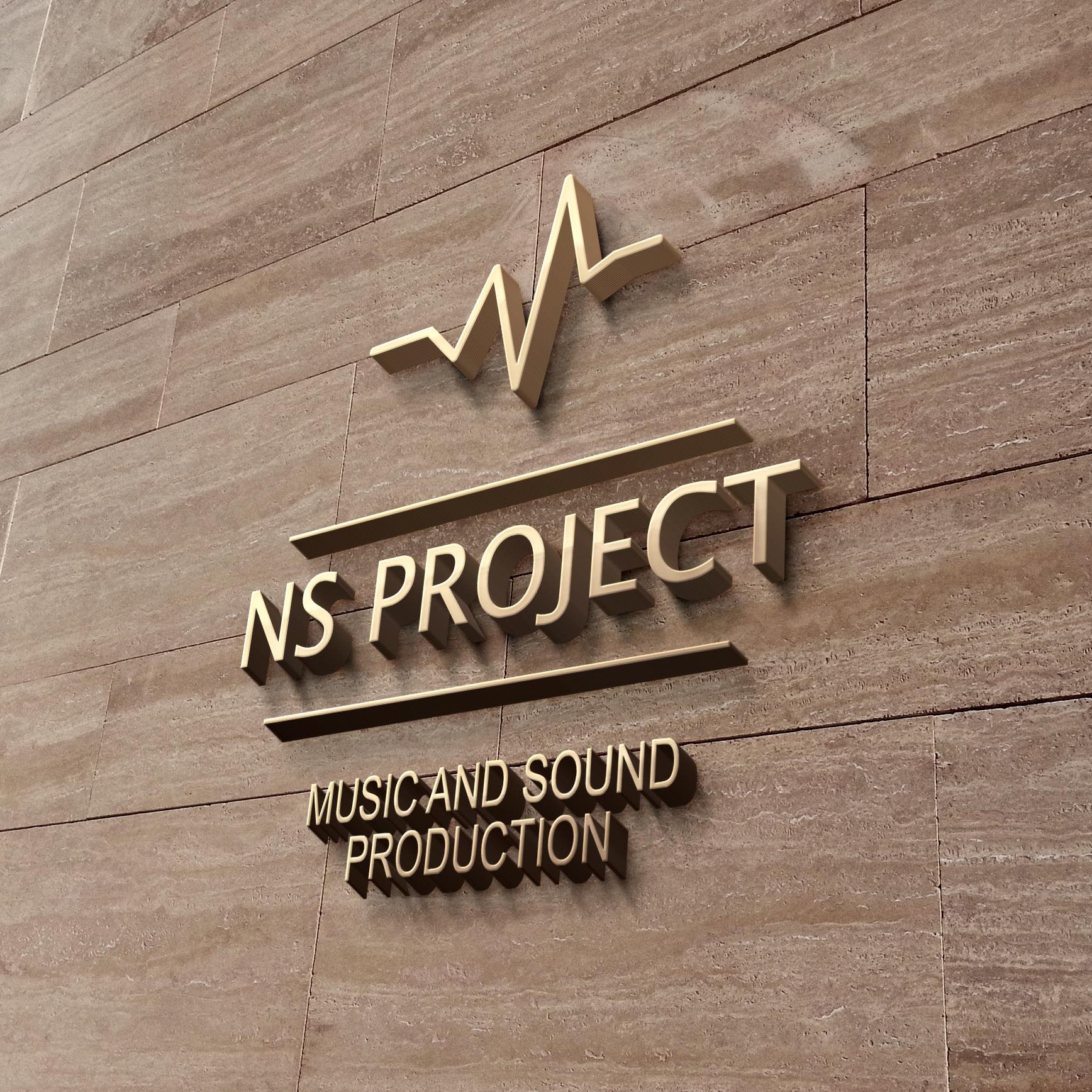 NS Project