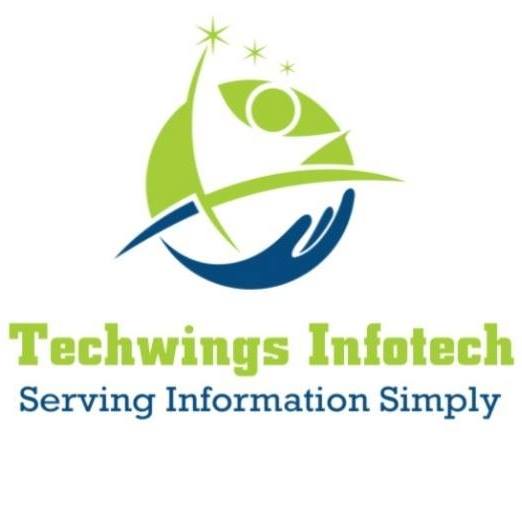 Techwings Infotech | Raipur