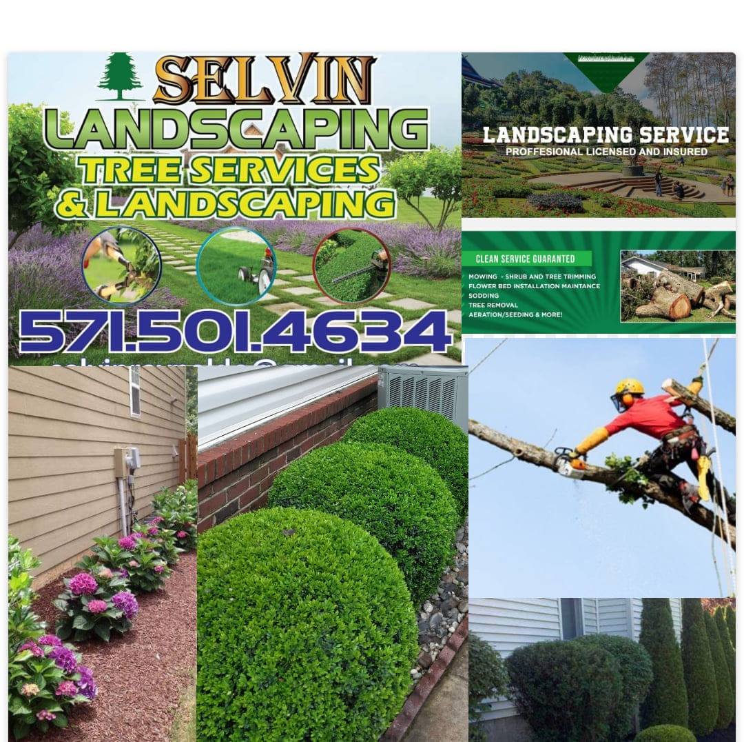 Selvin Landscaping