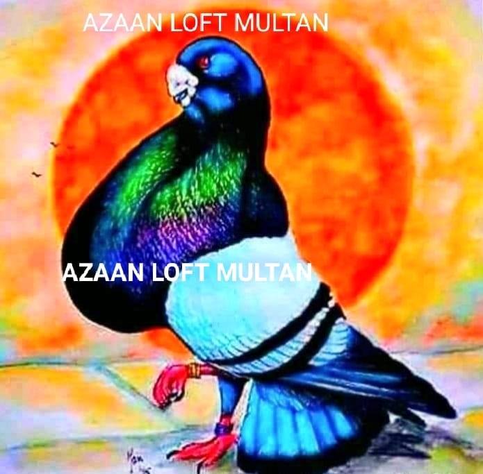 Azaan loft multan