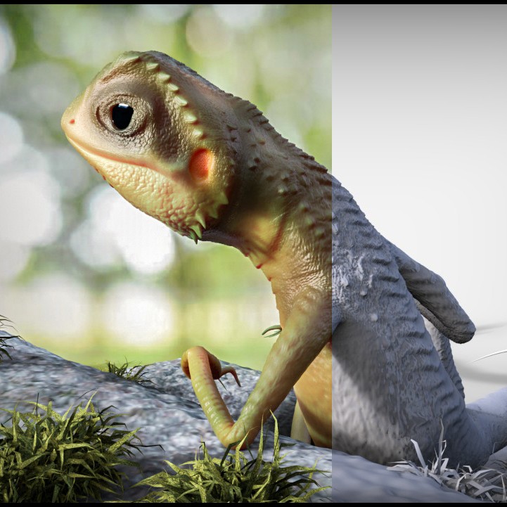 Animation class demonstration Same Animation. Two Different Approaches ...
