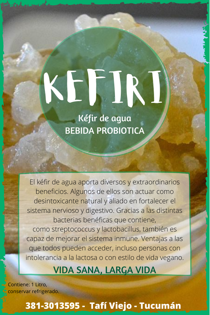 Kefiri Bebida probiotica