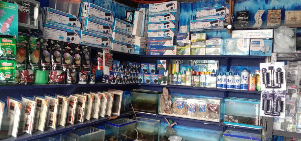 Fish product/ aquarium | Mabalacat