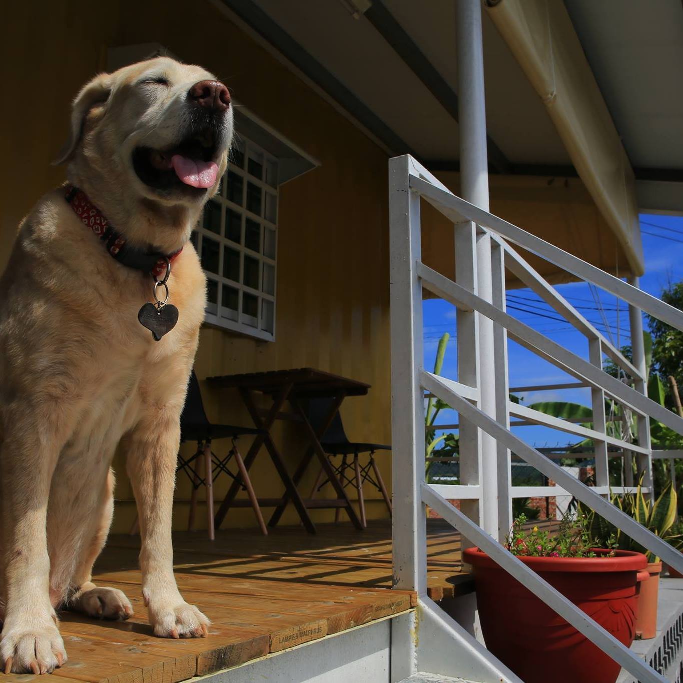 墾丁窩福寵物友善民宿woof House Facebook