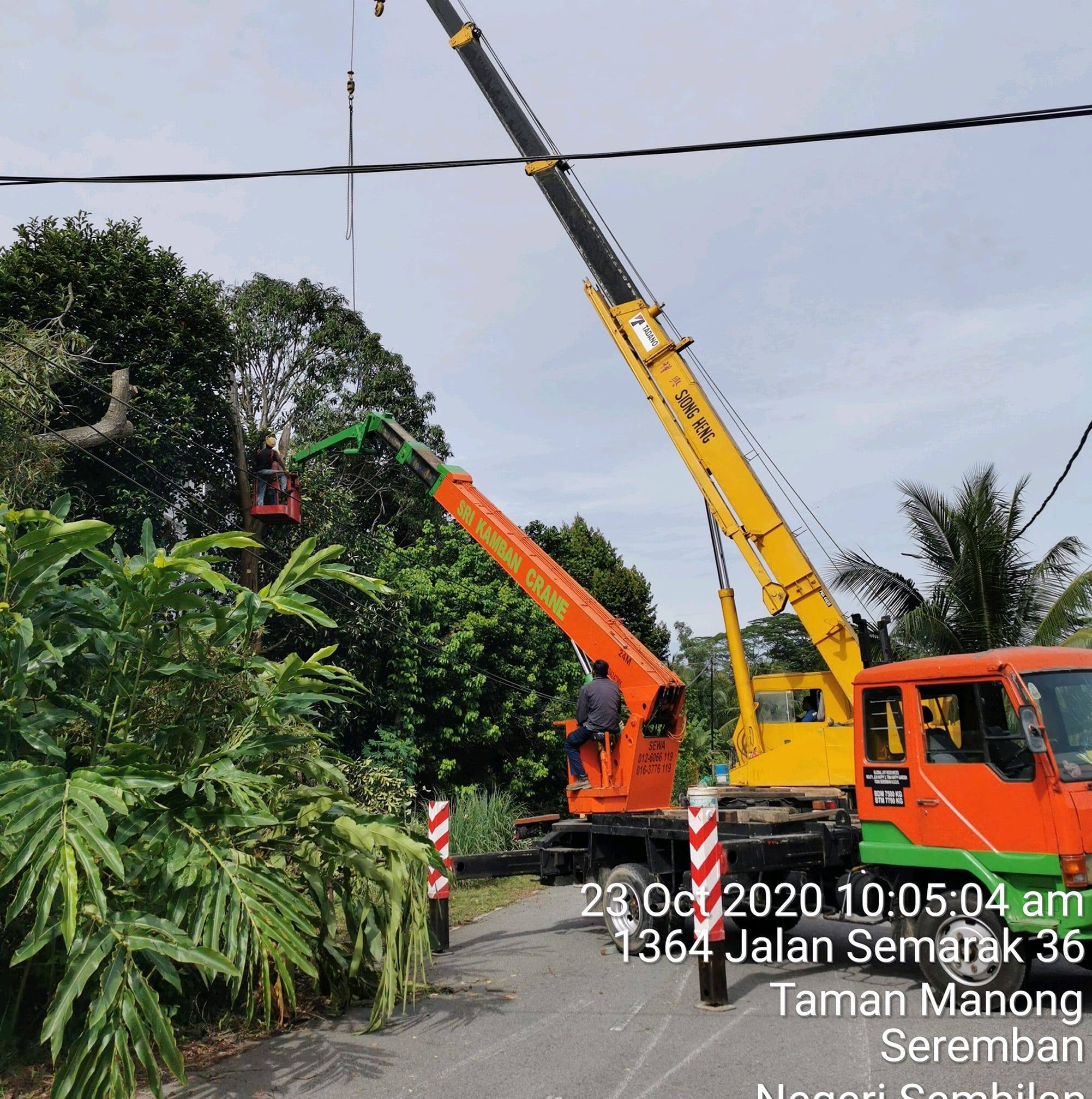 Menebang Dan Mencantas Pokok Seremban | Seremban