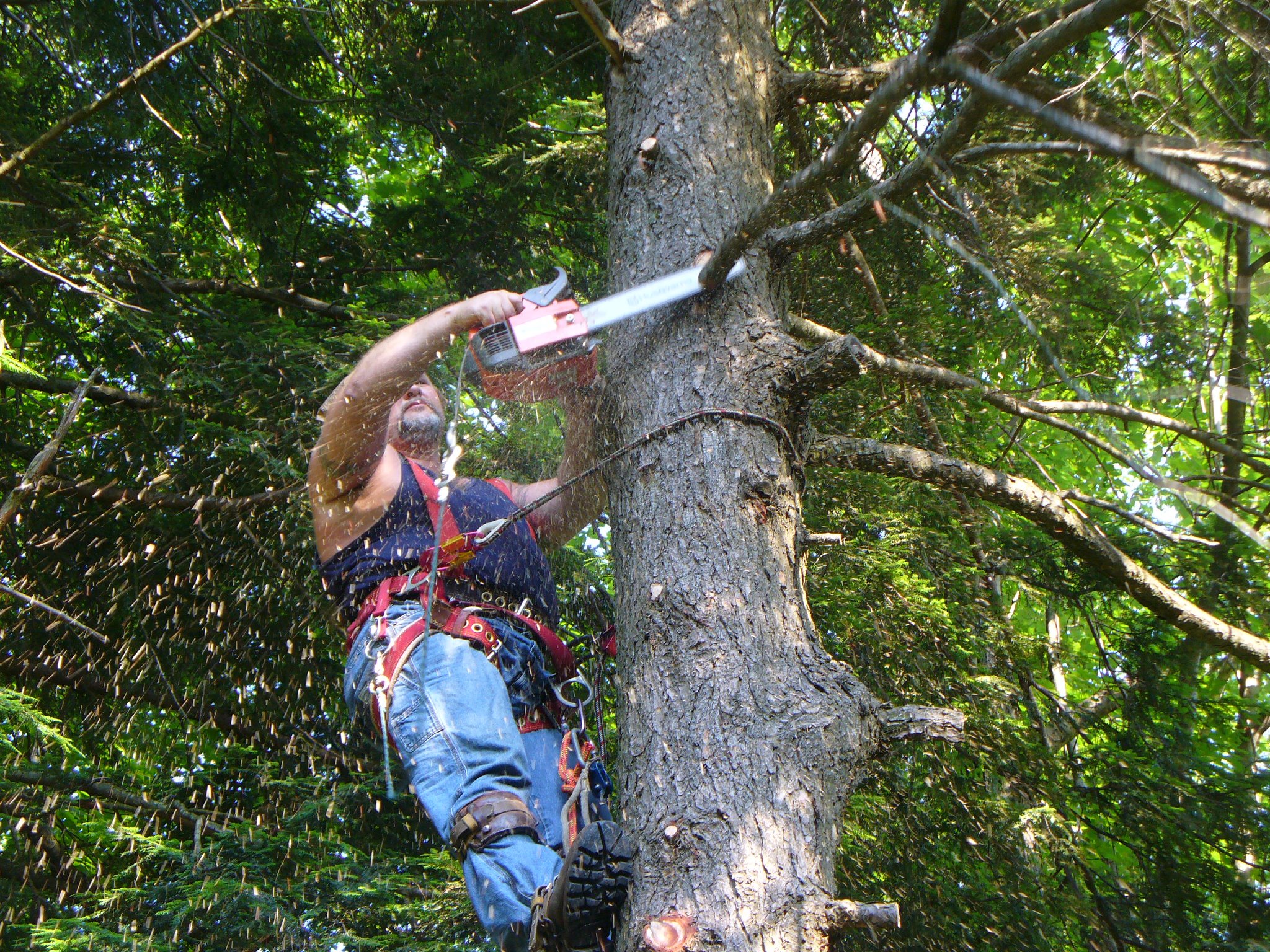 Vernon May & Family Landscapes & Tree Services | Glenmoore PA