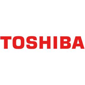 Toshiba Software Development - Viet Nam