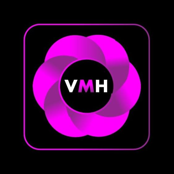 Visual Media Hub