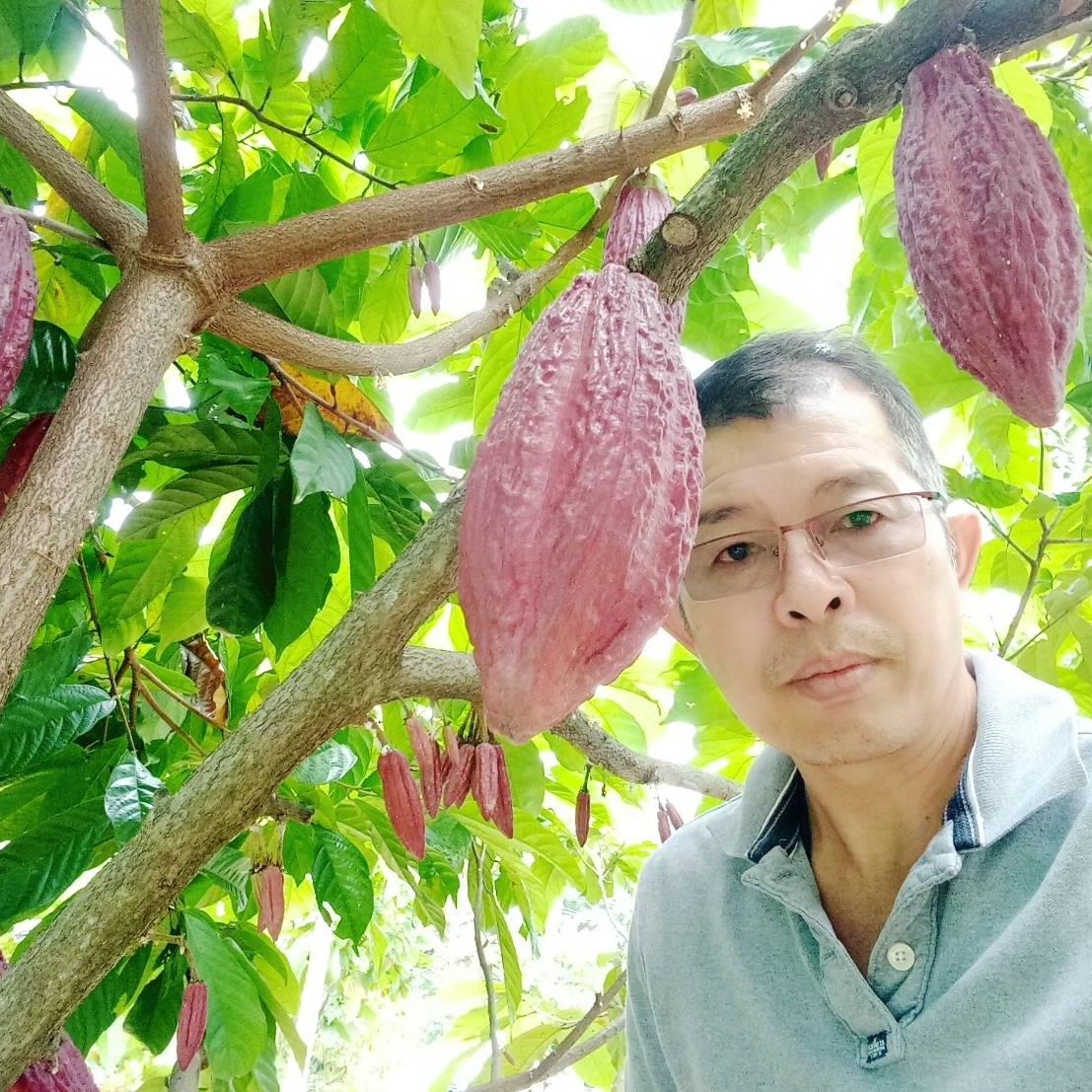LUMM COCAO Farming ล้ำโกโก้ฟาร์ม