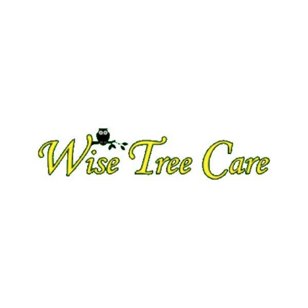 Wise Tree Care | Bedford TX