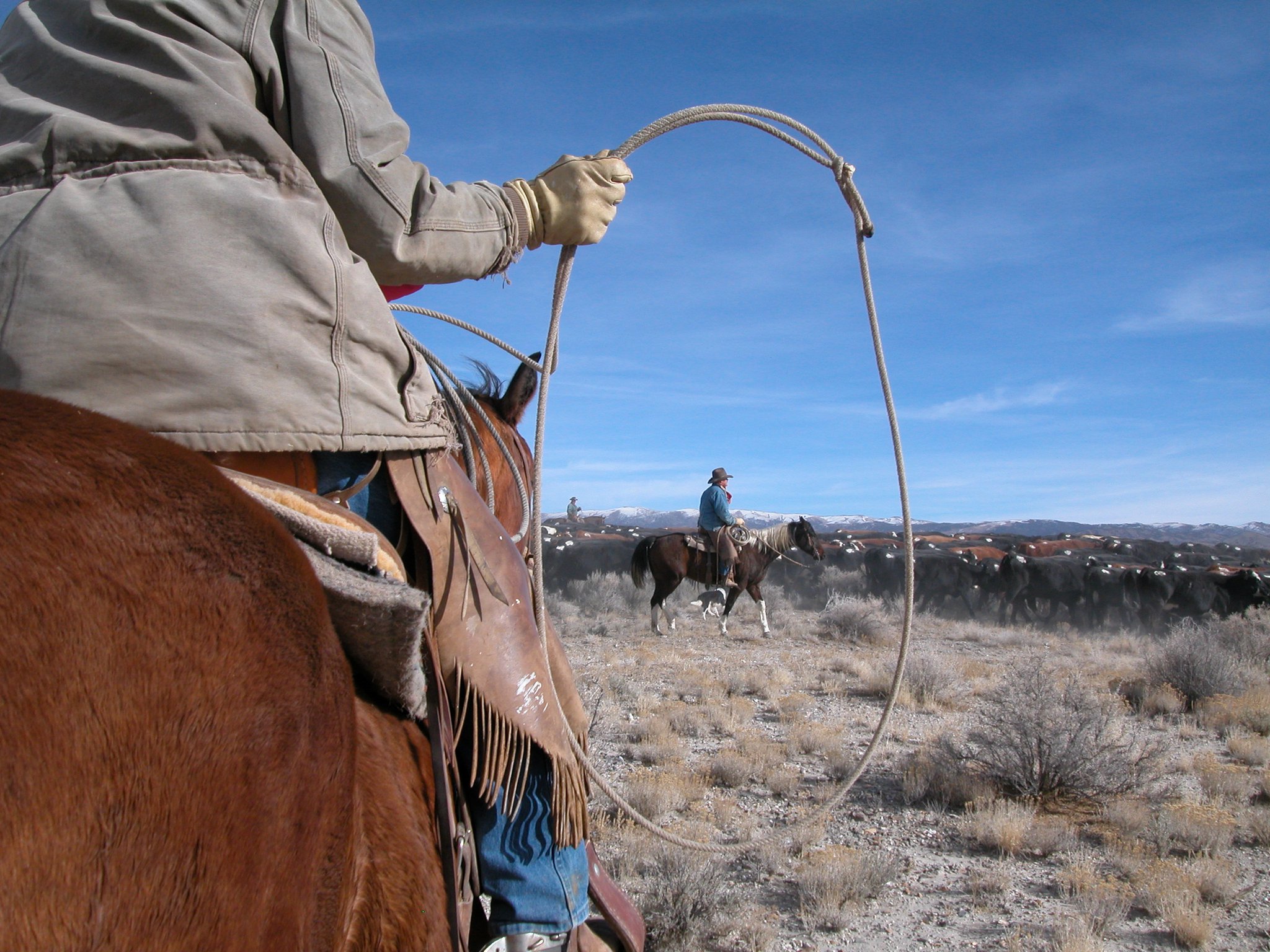Box C Ranch | Grouse Creek UT