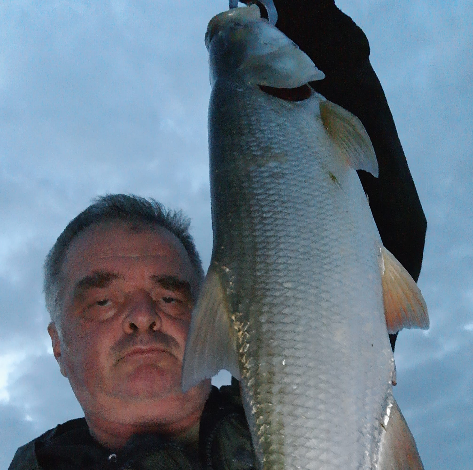 Ribolov - Fishing