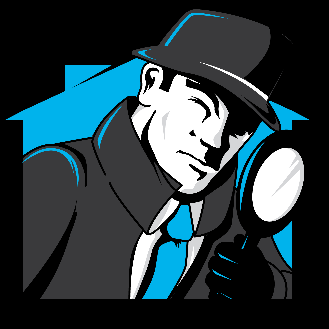True Property Detectives