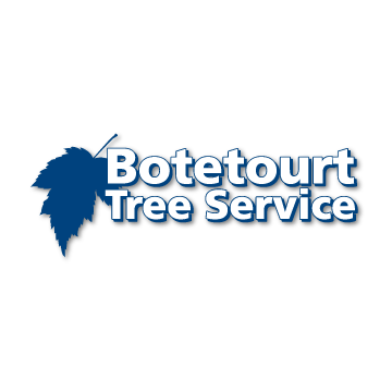 Botetourt Tree Service | Daleville VA