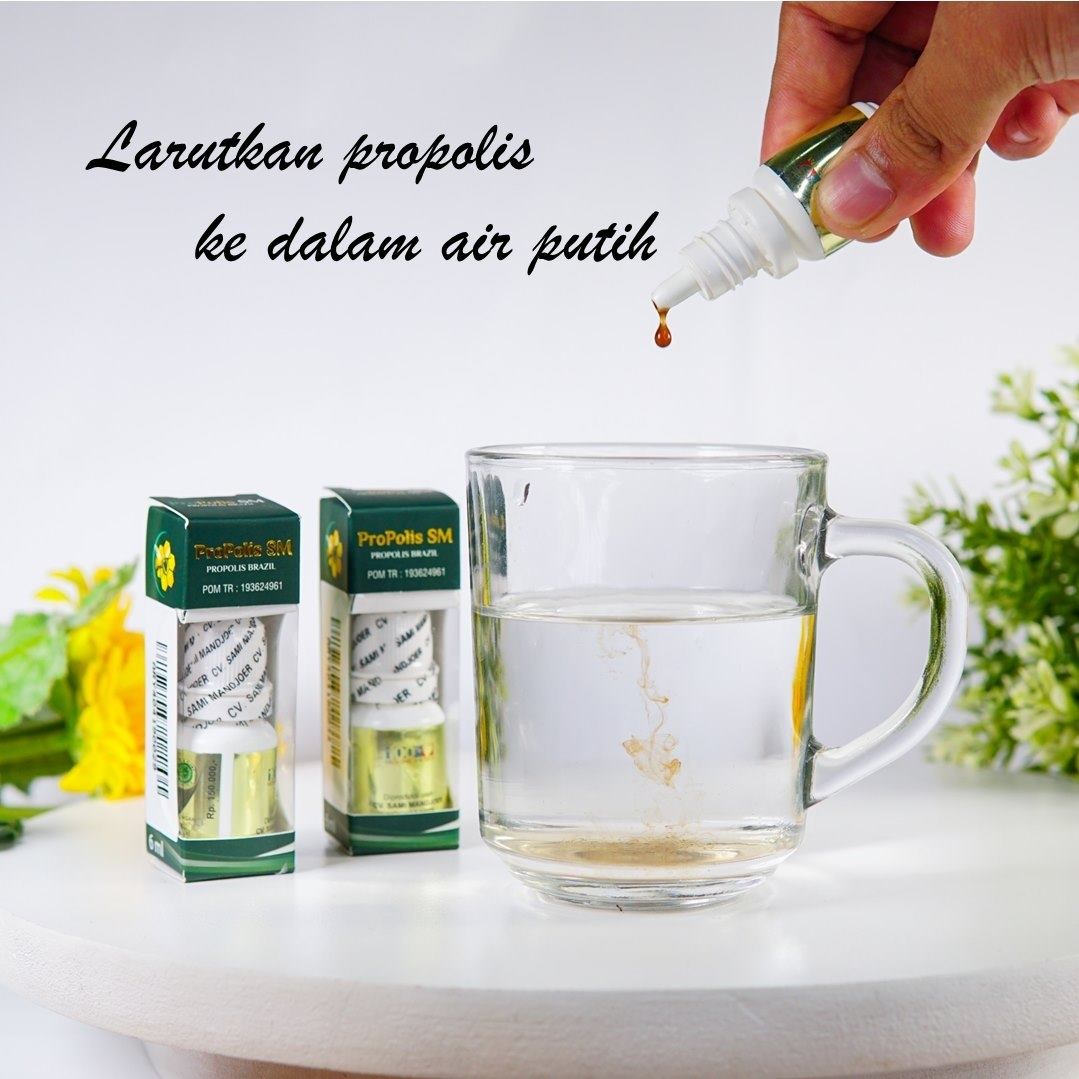 Propolis SM 100% ASLI