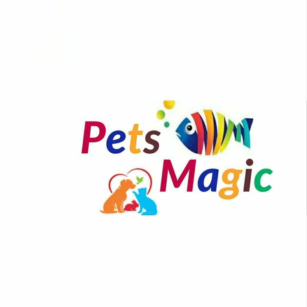 Pets Magic Aquarium Store | Pune
