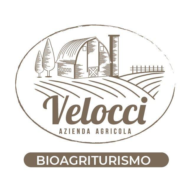 Meta Messaggio