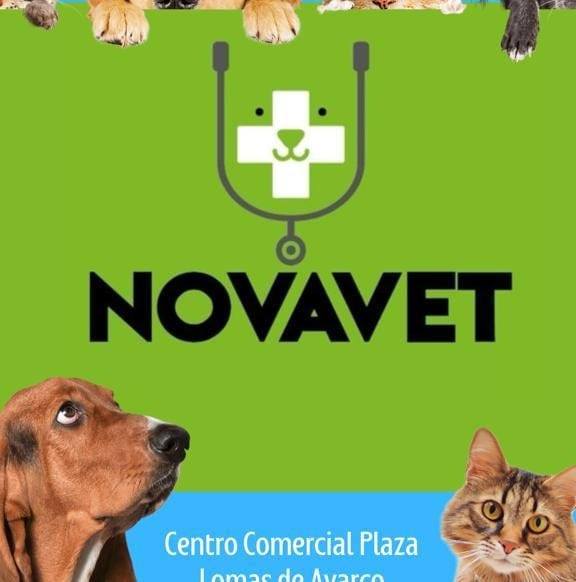 Clínica Veterinaria Novavet | Curridabat