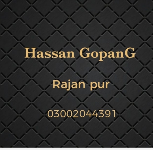 Ahsan Property Advisor Rajan pur | Rajanpur Vains