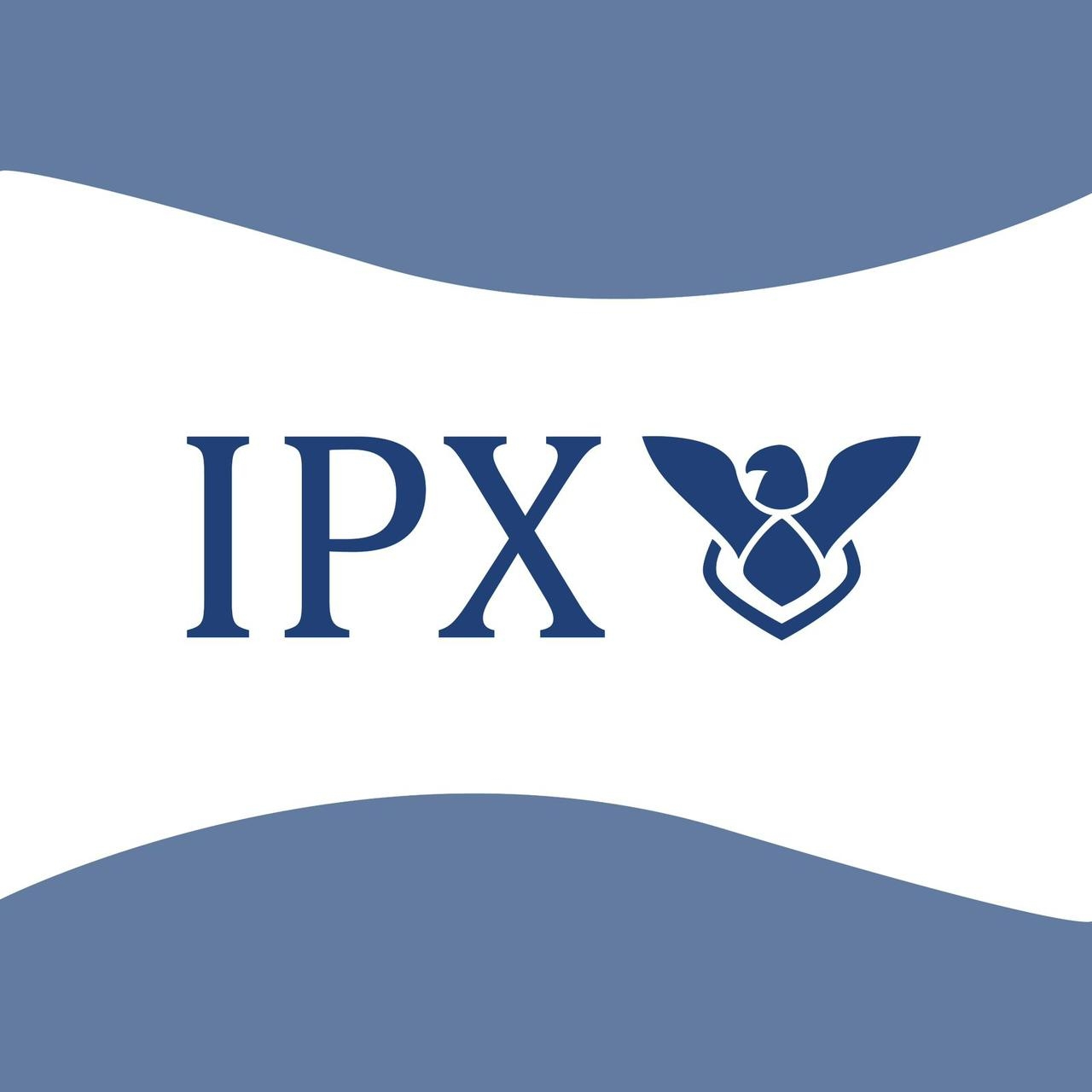 somos-ipx-doctorado-en-derecho-constitucional-y-amparo-rvoe-20261075