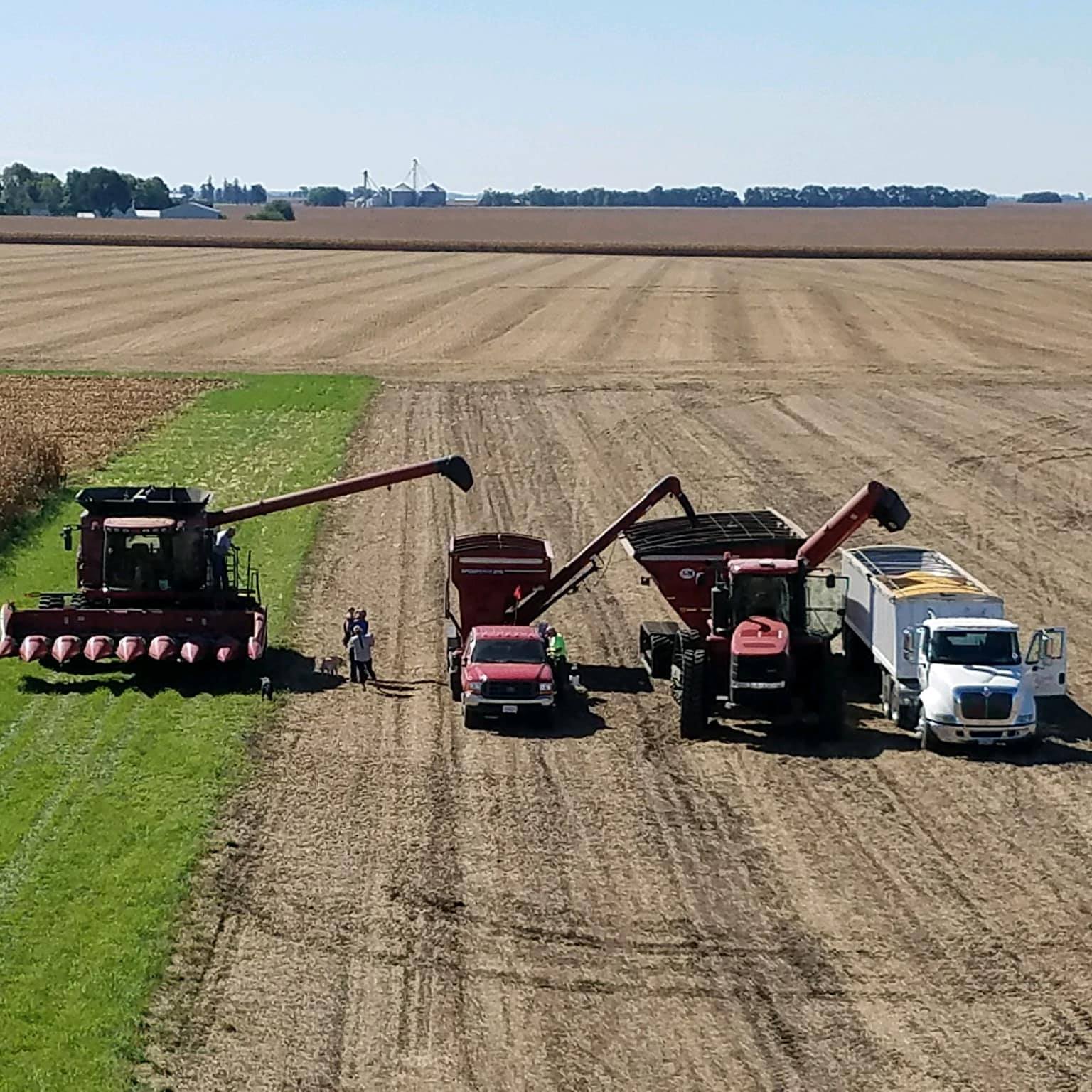 Advanced Crop Services LLC | Cerro Gordo IL